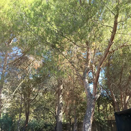 Casetta In Pineta